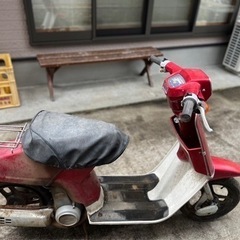 タクト　原付　激安