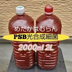 PSB光合成細菌2000ml（2L×1本）②