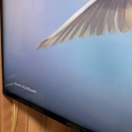 美品　SONY 50V型 4K XR 倍速 Google TV 2021年モデルEQUALSテレビスタンド付