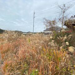 【契約者さん、決まりました！】（「今は」廃墟ですシリーズ）岡山県久米郡美咲町錦織・修繕必須ですが倉庫＆巨大な庭付き平屋の戸建て物件！！ 倉庫＆事務所として使うのもあり！？ - 不動産