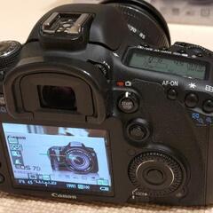 キヤノン Canon EOS 7D + EF-S 15-85 IS USM レンズキット