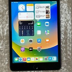 美品 Apple iPad mini 5 Wi-Fi 256GB タブレット ケース付き