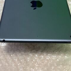 美品 Apple iPad mini 5 Wi-Fi 256GB タブレット ケース付き