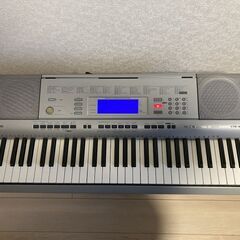 CASIO 電子 BASICキーボード 61鍵盤