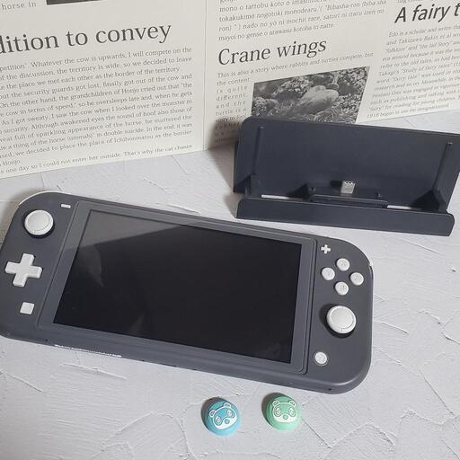 任天堂Switch light　グレー　色々おまけ付き