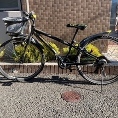 Bridgestone マウンテンバイク　自転車　黒黄