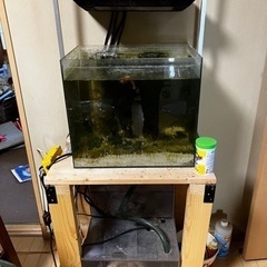 海水魚水槽セット