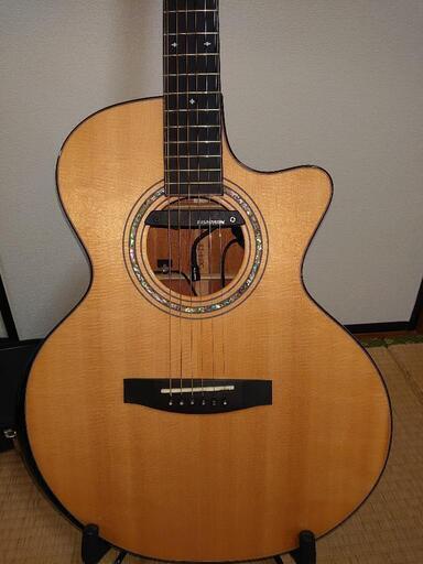 ROSSO SJ-840C エレアコ改造 Rosso ロッソギター/楽器｜WonderREX