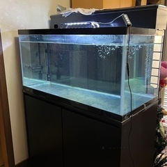 上部濾過の中古が安い！激安で譲ります・無料であげます(7ページ目  