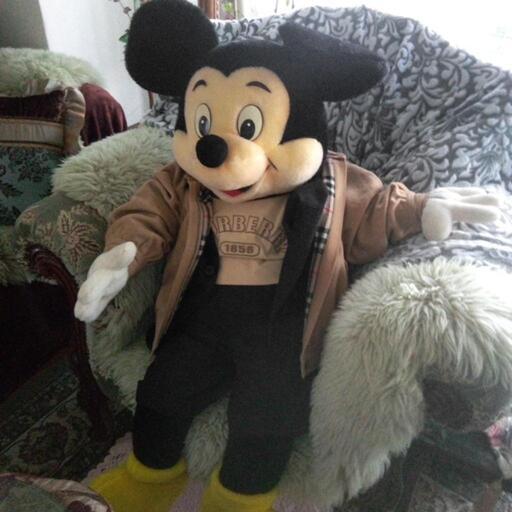 昭和50年代　TDL