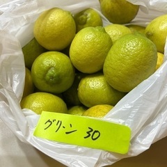 庭で採れた無農薬レモン30個