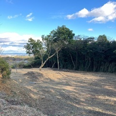 【ネット決済】好立地　山林