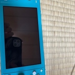 NintendoSwitchLite