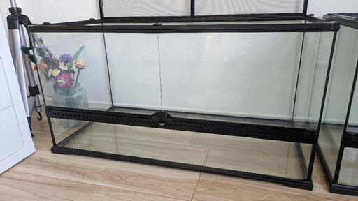 ガラス　ケージ　グラステラリウム　ペット　中古