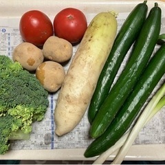 野菜セット(ウルトラミニセット)→3セット、明日の引き取り出来る方