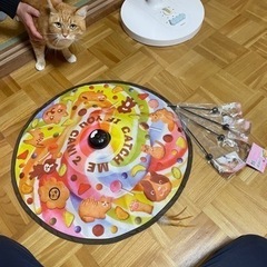 猫ちゃん用おもちゃCATCH  ME  IF  YOU CAN!2