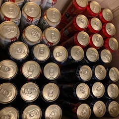 ビール酒 110本セット 金麦 スプリングバレー ビール