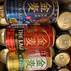 ビール酒　１１０本セット　金麦　スプリングバレー　ビール ビール酒 110本セット 金麦 スプリングバレー ビール