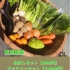 東温農園【採れたてお野菜】年内販売も残りわずかです！