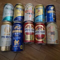 ビール10本セット（500ml×2本 + 350ml×8本） プ...