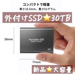 新品⭐️30TB 外付けSSD ポータブルSSD USB3.1