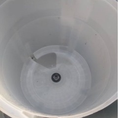 3ヶ月保証付き★洗濯機★2016年★日立★BW-V100A★10㎏★S-177