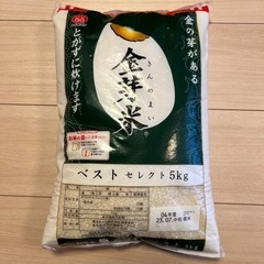 金芽米　5kg  23年7月精米　未開封　金芽米カップ付き