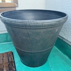 植木鉢　鉢　大型