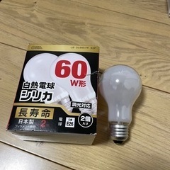 電球60W