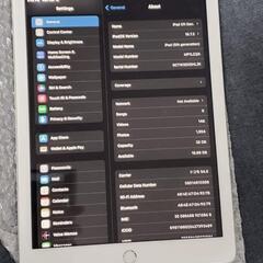 iPad 第5世代　(5fth Gen)