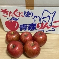りんご 5個 青森産