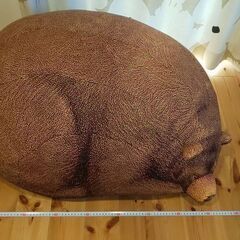 まいくま vi0593t-01_700x.jpg?v=1726557701