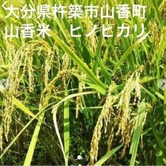 大分県杵築市山香町　山香米ヒノヒカリお米30キロ㎏