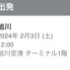 格安！！航空券2枚いかがですか？北海道旭川→東京成田2/3(土)