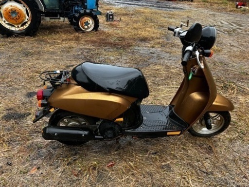 HONDA AF61 TODAY トゥデイ