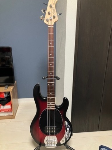 MUSIC Man スティングレイ