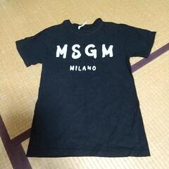 msgmTシャツ