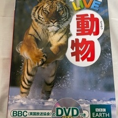 ⭐️【決まりました】学研の図鑑LIVE  動物　DVD付き