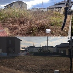 うさぎの便利屋さんです！