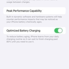 IPhone 14 Pro Max 256 GB 13.5万