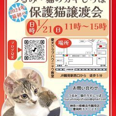 つるみ・猫のカギしっぽ譲渡会1月21日　 JR鶴見駅西口から徒歩...