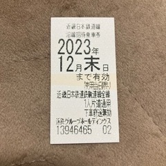 【ネット決済】近鉄日本鉄道の株主優待乗車証(乗車券)