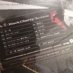 Acid Black Cherry　Janne Da Arc