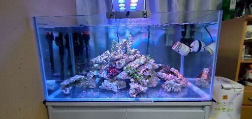 スーパージャンボアイ SJ-6000III RB 100v