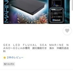 海水水槽　30ハイタイプ　引退出品