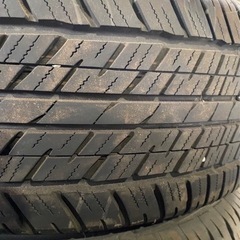 ダンロップ バリ山