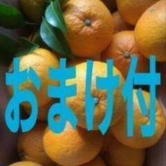 ③🍊神山産無農薬🍊収穫し立て新鮮はっさく約３kg前後+おまけ付 
