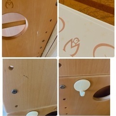 幼児教育 プルチノ PULCINO モンテッソーリ ジーニアス