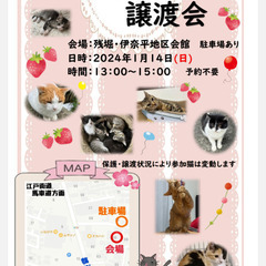 保護猫譲渡会☆残堀伊奈平地区会館 