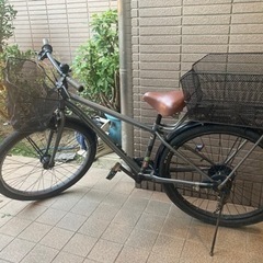 キッズコグホーン　自転車